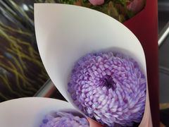 -双季花艺园艺市场(浦东店)