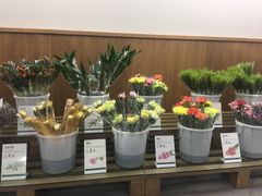 -鹿岛会员店 (龙湖三千集天街店)