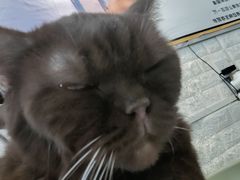-平行世界·猫咖(首经贸店)