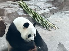 -宁波野生动物园