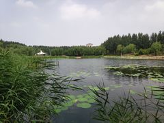 -吉林大学(前卫南区)