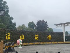 -径山花海