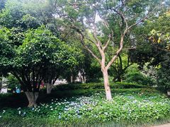 -常州古运河南大街文化旅游区-人民公园