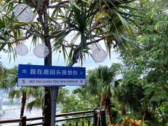-鹿回头风景区