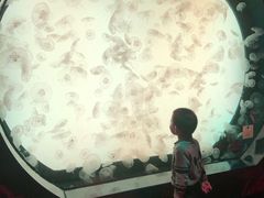 -沈阳海洋探索中心