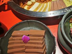 -谭鸭血老火锅(图书馆店)