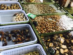 -南沙十九涌渔人码头-南门