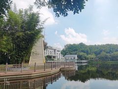 -大屏嶂森林公园