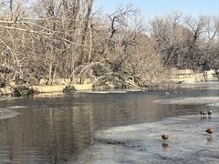 -婆婆香过桥米线(观湖城店)