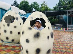 -西霞口神雕山野生动物世界