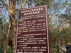 -紫金山山顶公园