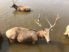-宁波杭州湾国家湿地公园