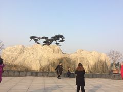 -南通洲际绿博园