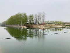 -马家湾湿地公园