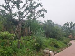 -杭州开元森泊度假乐园