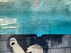 -珠海长隆海洋王国