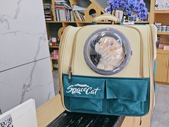 -虹泰宠物医院 ·旗舰店·24h(南秀路店)