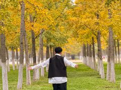 -汉长安城未央宫国家考古遗址公园