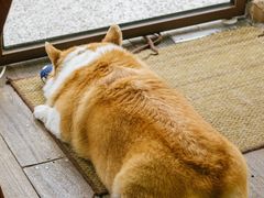 -肥朵食堂(带梦胡同店)