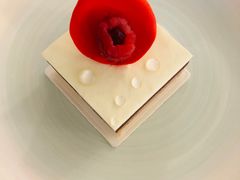 -BLACKSWAN黑天鹅(环球店)