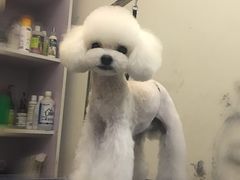 -沐沐家宠物(成寿寺店)