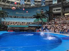 -海合安成都极地海洋公园