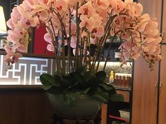 -新白鹿餐厅(松江开元地中海店)