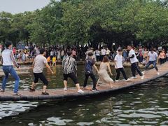 -海上田园