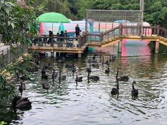 -深圳野生动物园