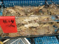 -洲晓鲜·舟山海鲜大排档(朱家尖风景区店)