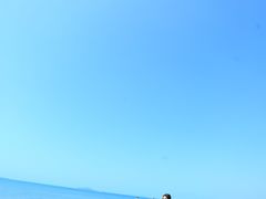 -亚龙湾海底世界