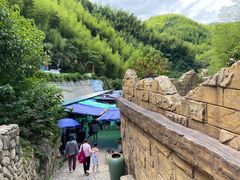 -将军关探险漂流