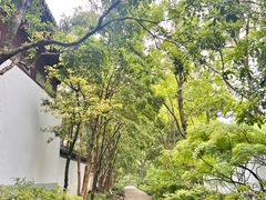 -秋霞圃