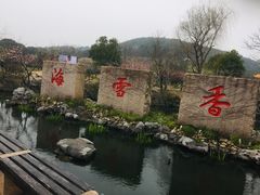 -香雪海