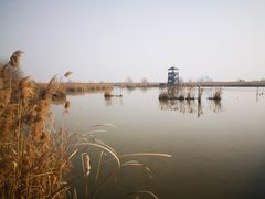 -盐城丹顶鹤湿地生态旅游区