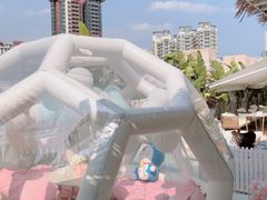 -天空花园餐吧·生日·团建(南山店)