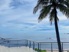 -小海豚•老字号海鲜餐厅(天涯店)