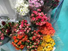 -盒马X会员店(上海森兰商都店)