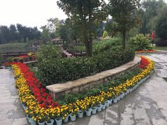 -成飞公园