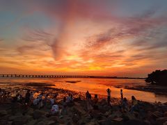 -宝安西湾红树林湿地公园