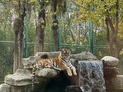 -上海野生动物园