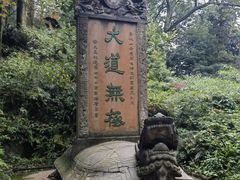 -青城山