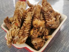 -后海16号·北京私房菜