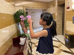 -金泽大酒店·卢塞恩餐厅·年夜饭春节连市