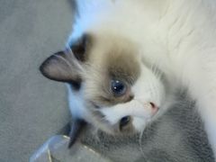 -零纪元VR体验馆·桌游(黄浦店)