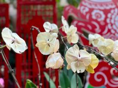 -郑州植物园