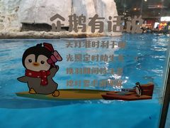 -帝企鹅自助餐厅•儿童岛•真企鹅(长隆企鹅酒店)