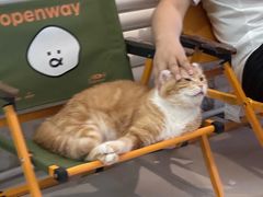 -平行世界·猫咖(首经贸店)