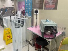-北京观赏动物医院·24小时大型综合·猫专科·异宠专科