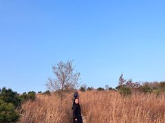 -妙峰山风景名胜区